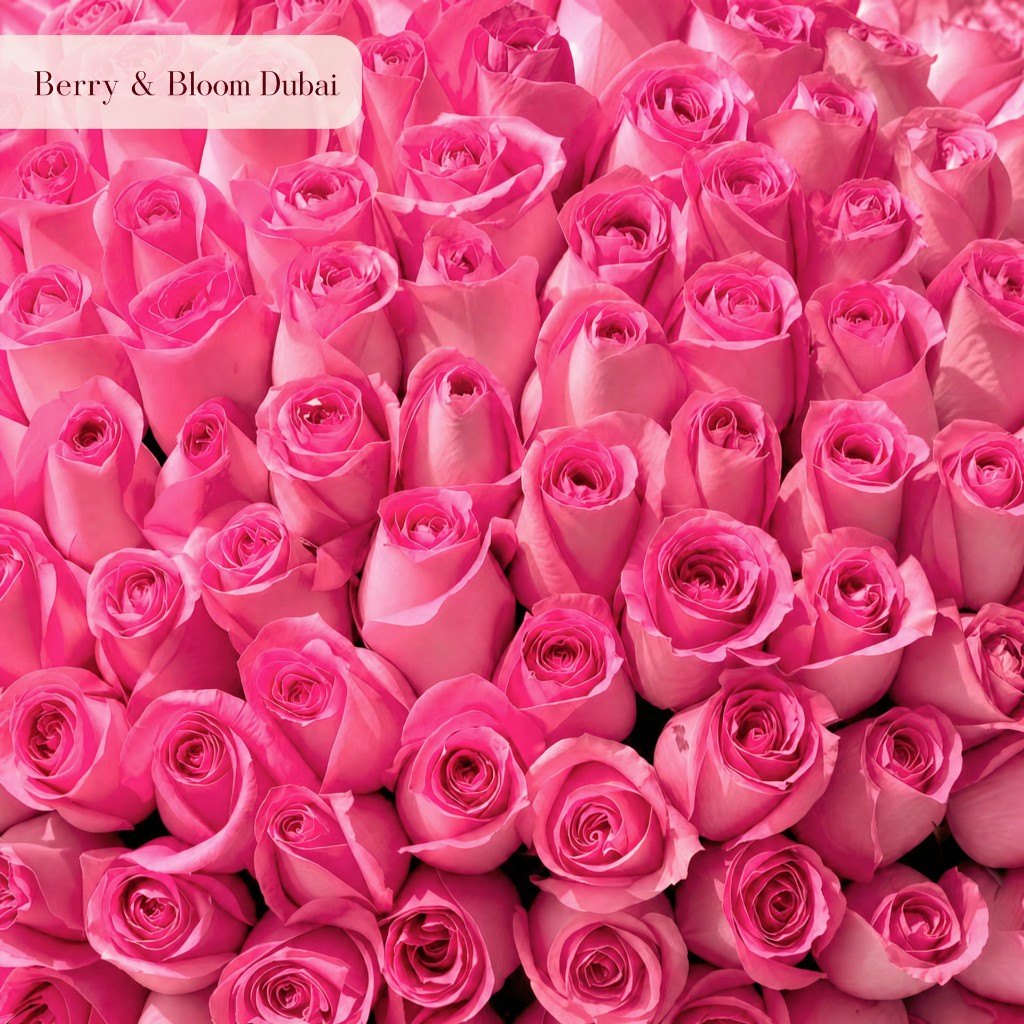 101 Deep Pink Roses