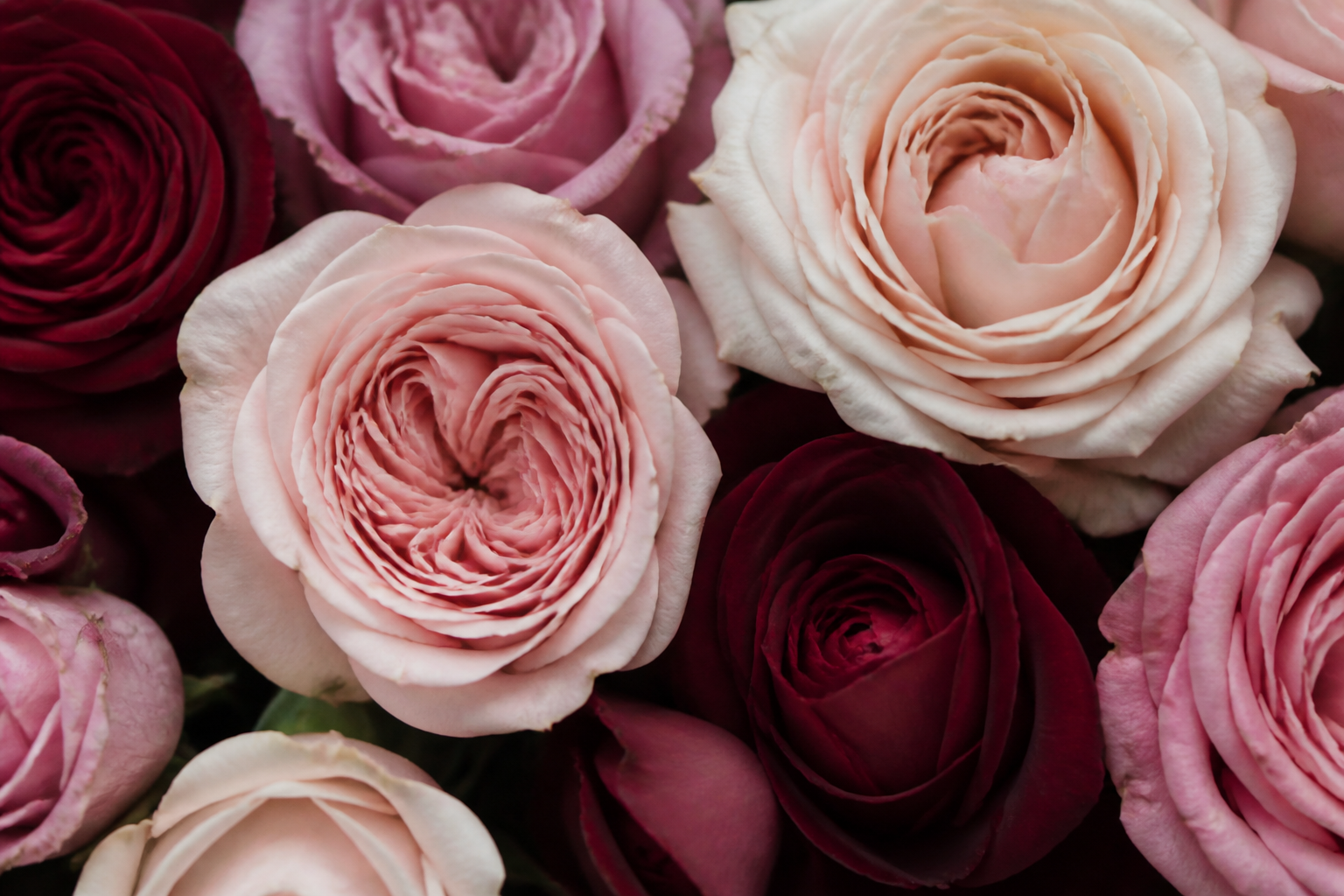 Garden roses from the Berry & Bloom atelier